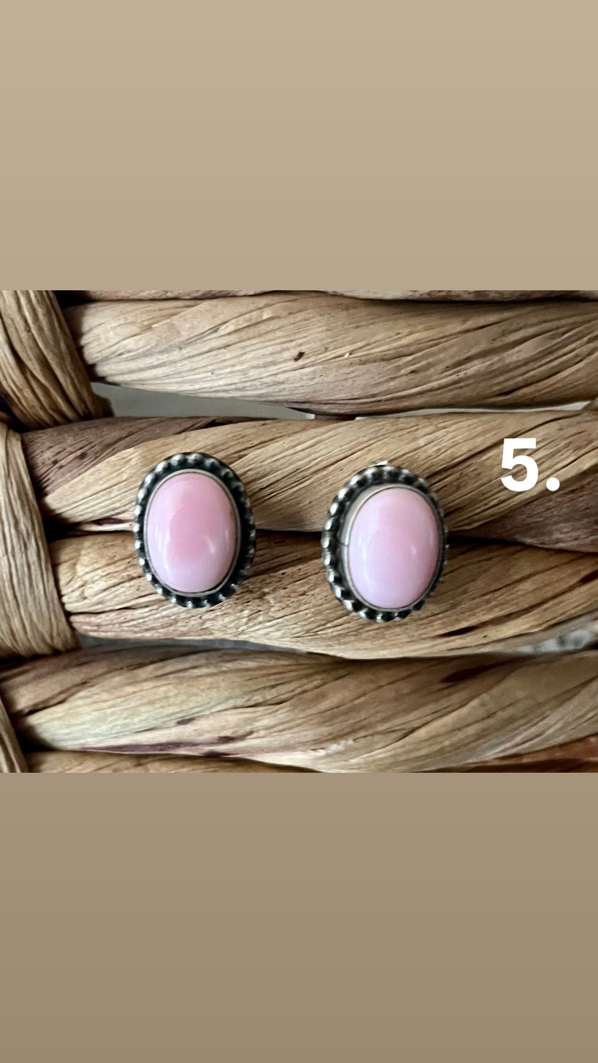 Pink Conch Studs